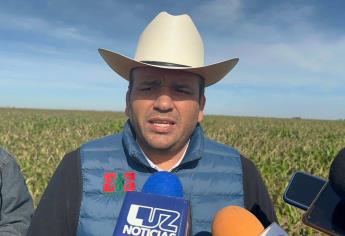 Alistan plan fitosanitario para el sur de Sinaloa