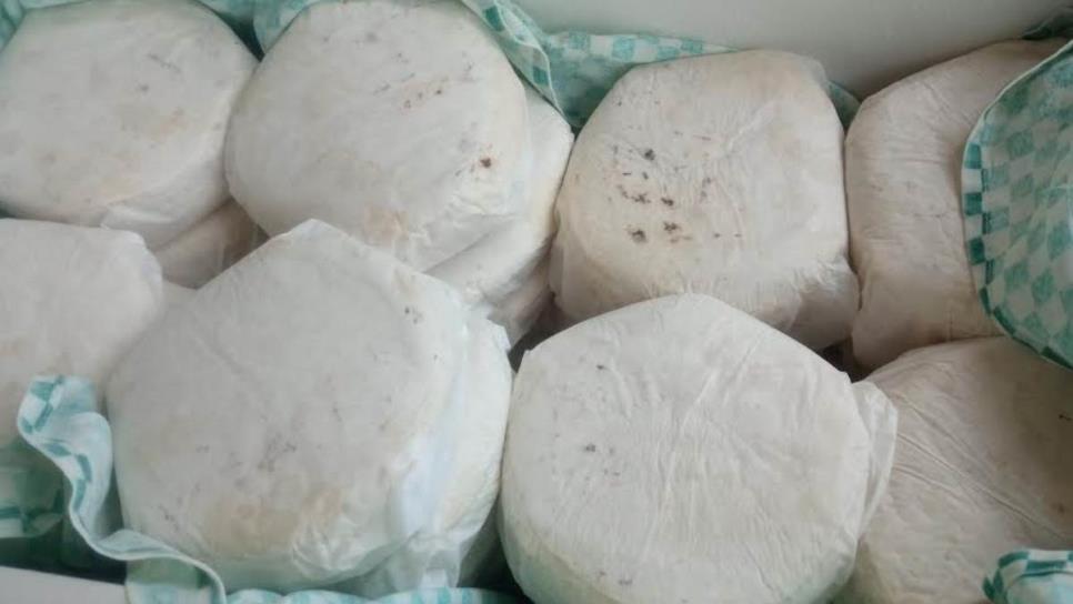 ¡Se ajustan el cinturón! En el sur de Sinaloa no hay aumento al kilo de tortilla, se mantiene en $26