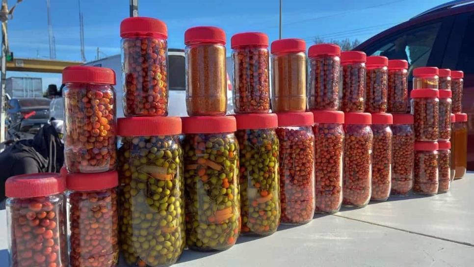 ¿Cómo sembrar el chiltepín en casa?, aquí te decimos