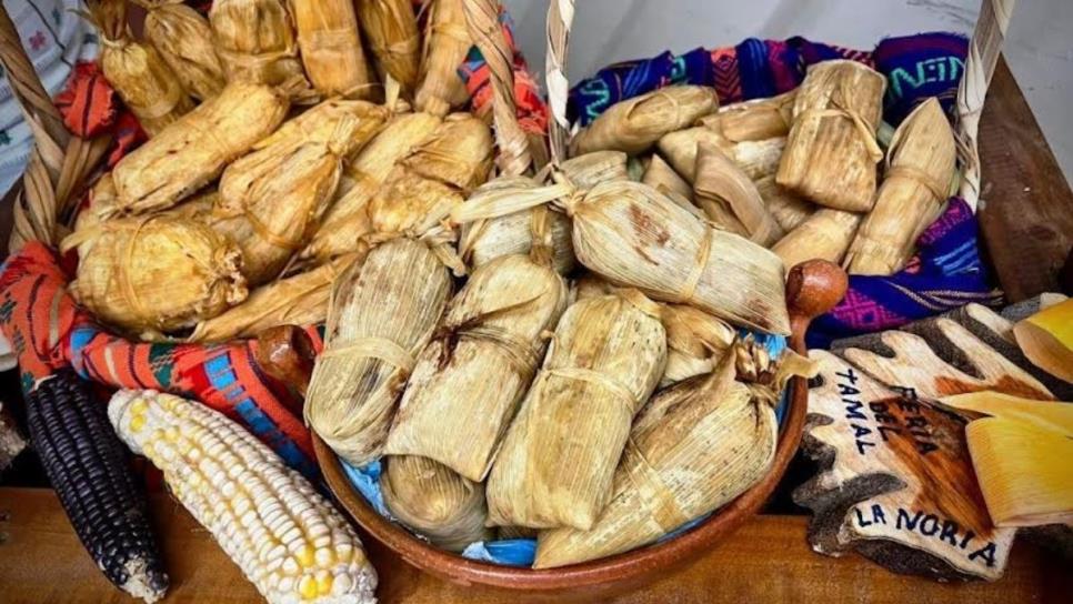 La Noria te espera este domingo 28 de enero con su Feria del Tamal 