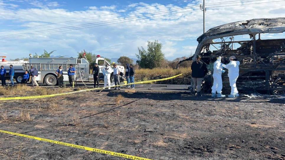 ¿Porqué ocurren accidentes como el «camionazo» de este 30 de enero? Ángeles Verdes lo explica 