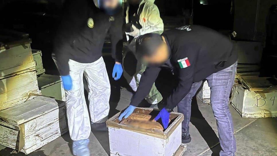 FGR asegura un millón 210 mil pastillas de fentanilo y 70 kilos de mentafetamina en cajas de abejas