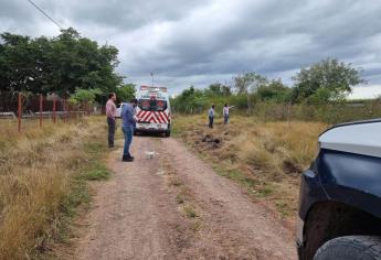 Se desploma avioneta fumigadora en Costa Rica, Culiacán; muere el piloto