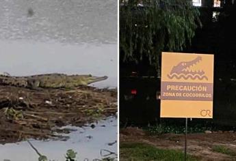 Culiacán zona de cocodrilos; autoridad llama a la precaución