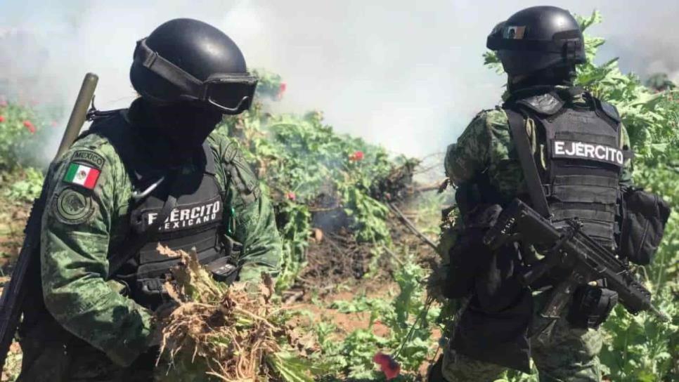 Armas, drogas y plantíos es lo que se aseguró en Sinaloa durante los operativos del Ejército 
