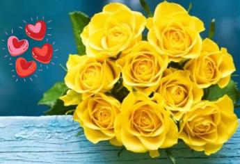 ¿Por qué no debes regalar rosas amarillas el 14 de febrero, día de San Valentín?