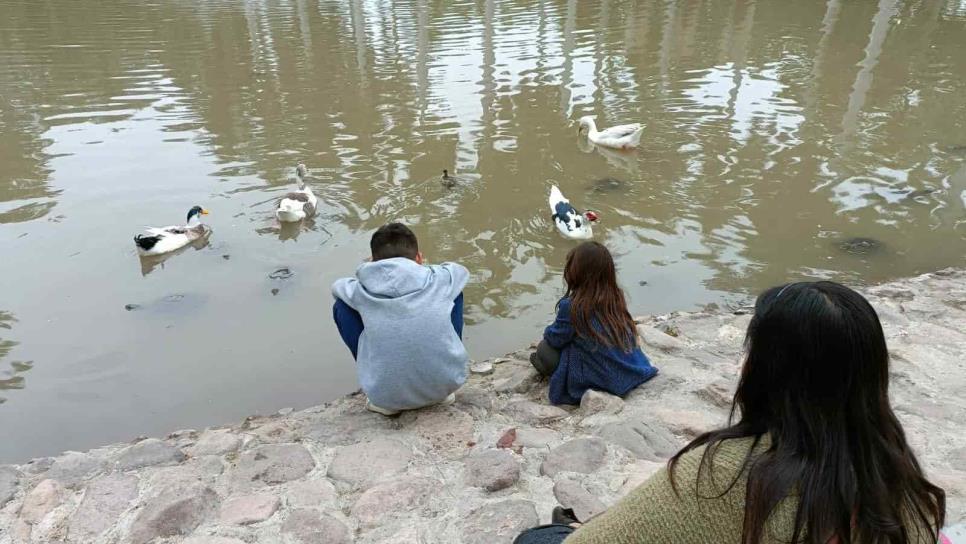 Parque Sinaloa: ¿qué pasó con el estanque donde estaban los patos y tortugas?