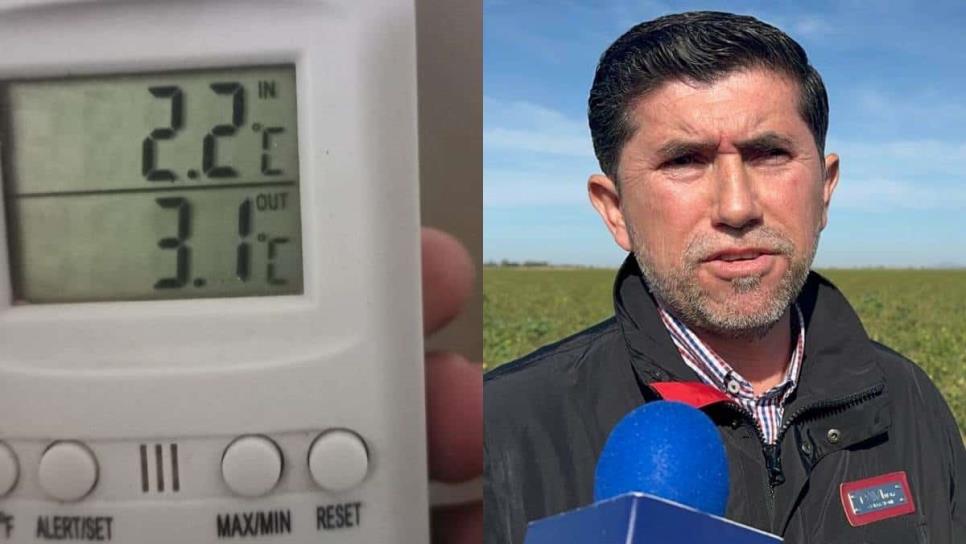 Termómetro baja a 2.2 grados en el valle del Carrizo 