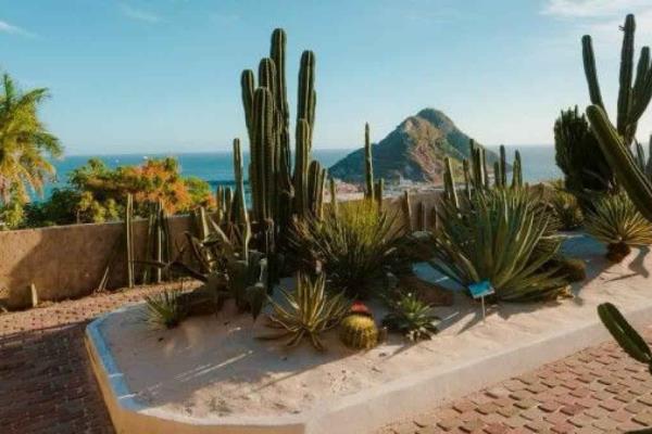 El Observatorio, de los mejores lugares de Mazatlán para ver el eclipse solar 2024; ¿cómo llegar?