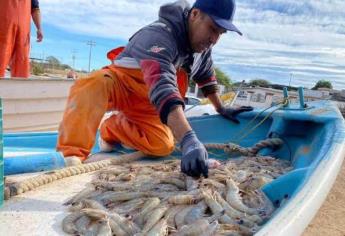 El 20 de marzo inicia la veda al camarón en el Pacífico Mexicano