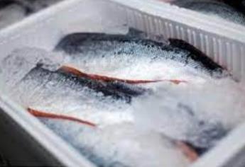 Fraude en Cuaresma: Venden hielo por pescados y mariscos, según Oceana
