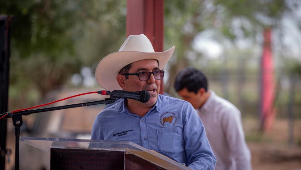 Implementan barrido ganadero para erradicar la brucelosis en Guasave