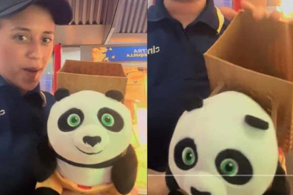 Palomera de Kung Fu Panda 4 en Cinépolis; detalles, precios y fecha de lanzamiento