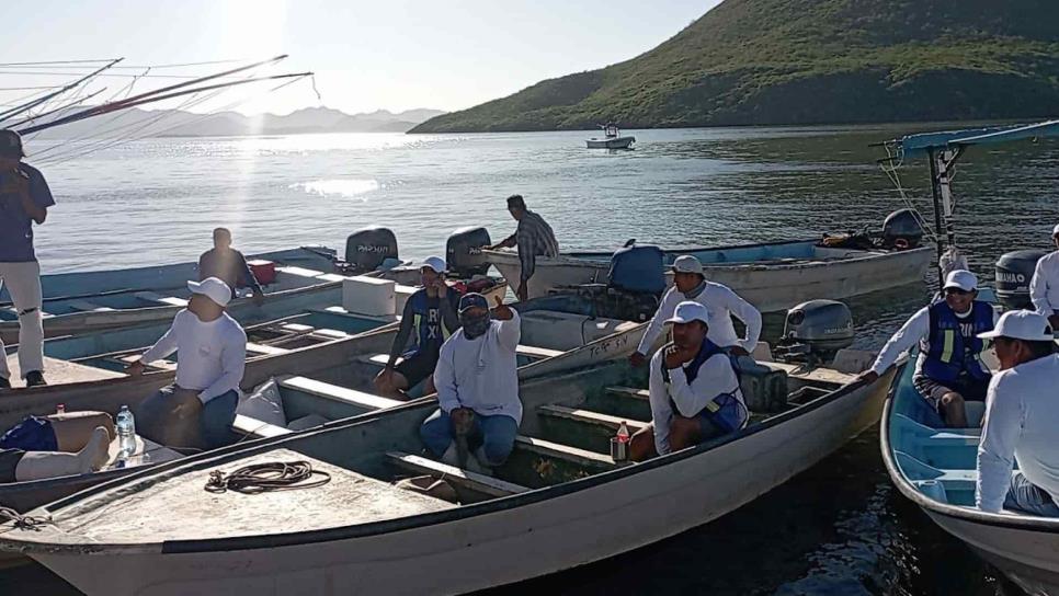 Veda electoral no frenará la vigilancia de la veda del camarón en Sinaloa