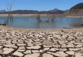 Presas de Sinaloa, en estado crítico y aún falta lo peor de la sequía ¿Cuánta agua almacenan?