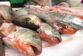 COFEPRIS: cómo elegir un buen pescado en esta Cuaresma