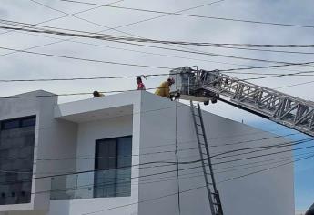 Muere un pintor tras tocar cables de alta tensión en Culiacán