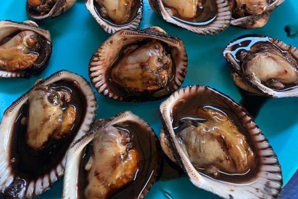 Cuaresma: incrementan intoxicaciones por consumo de mariscos en Sinaloa
