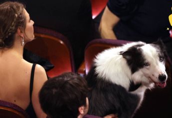 ¿Porque había un perro en la gala de los Oscars?