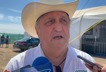 Esquema de comercialización de granos de Sinaloa se define el 19 de marzo