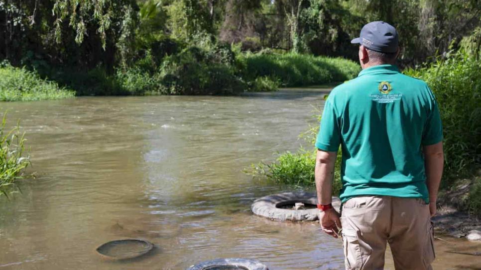 Prohiben bañarse en estos balnearios de Culiacán por presencia de cocodrilos