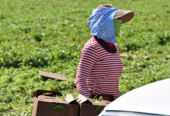 «El campo no tiene rentabilidad»; CNA advierte crisis en el campo a nivel nacional