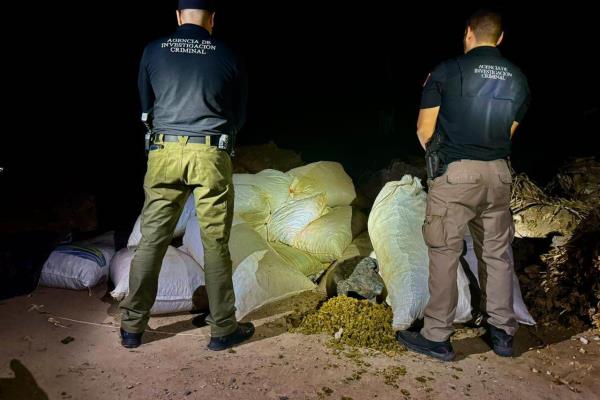 Elementos de la FGR aseguran más de una tonelada de mariguana en El Bonete, Angostura