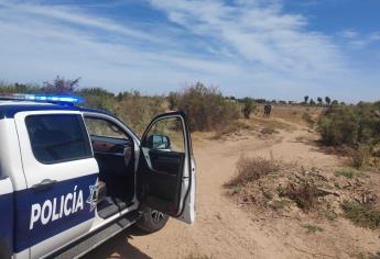 Rastreadoras localizan restos humanos en Guasave  