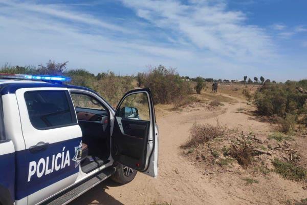 Rastreadoras localizan restos humanos en Guasave  