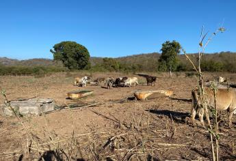 Comunidades rurales de Concordia luchan por sobrevivir en medio de una intensa sequía