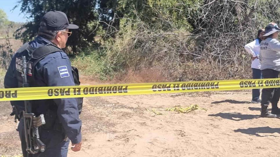 Hallan osamenta en la cercanía del residencial Álamo Grande en Culiacán