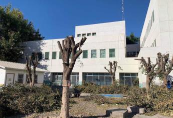 Servicios Públicos aclara polémica ante corte de árboles en Hospital General de Los Mochis