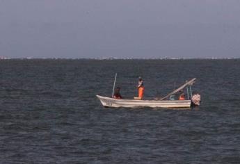 Pese a temporada de veda, Ahome es el epicentro de la pesca furtiva