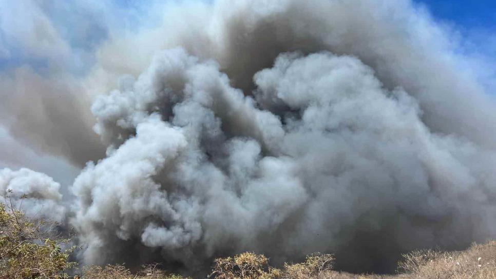 Arde en llamas el basurón de Mazatlán; el siniestro moviliza a los cuerpos de emergencias