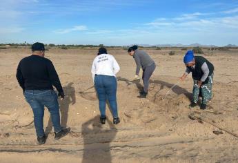 Rastreadoras por la Paz localizan osamenta humana cerca Matacahui