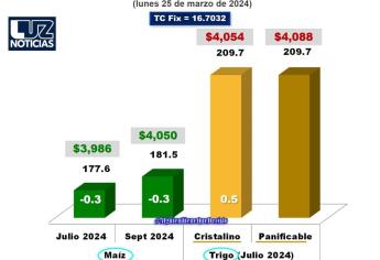 Baja precio de los granos; Maíz en 3 mil 986 pesos