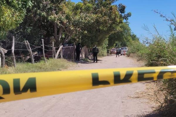 Localizan a bebé recién nacido enterrado muerto en Batamote, Guasave