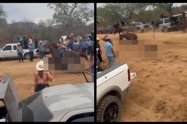 Muere hombre atropellado por un caballo de carreras en Choix, el jinete está grave