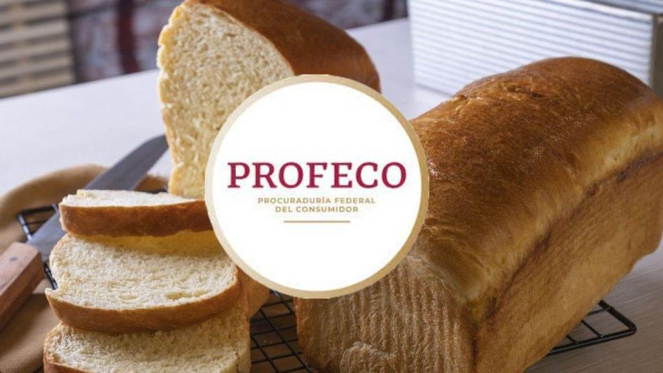 Profeco: ¿Cuál es el mejor pan para hacer sandwiches?