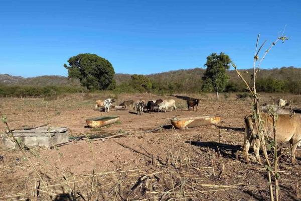 Estas comunidades de Culiacán ya resienten la falta de agua por intensa sequía