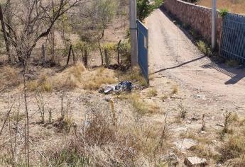 ¡Era un perro! Reporte de encobijado moviliza a policías en Culiacán