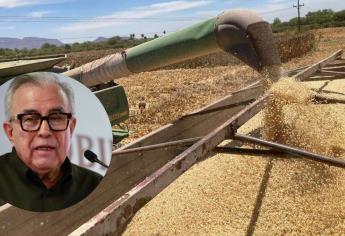 Precio del maíz se resuelve entre hoy o mañana, afirma Rocha Moya 