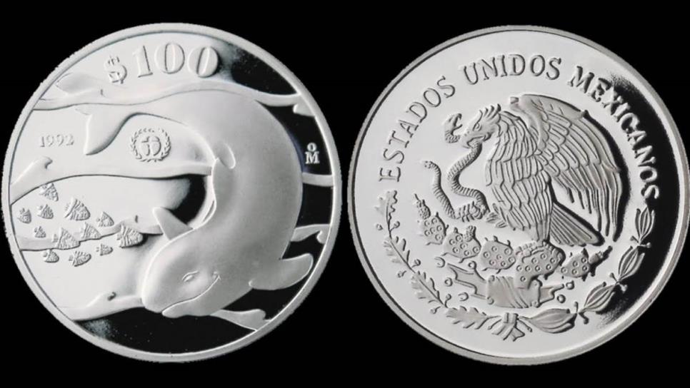 Moneda de plata con el grabado de la vaquita marina se vende hasta en en 14 mil pesos