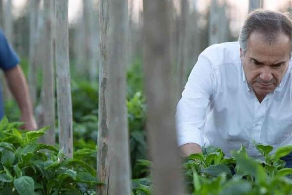 Acuerdo sobre precio del maíz llega tarde, es insuficiente y no da certidumbre al productor: Sergio «Pío» Esquer