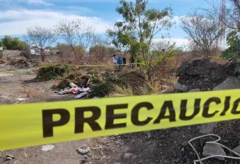 Localizan cuerpo semienterrado cerca de escuela de Veterinaria en Culiacán