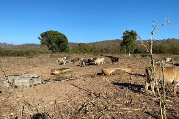 Se intensifica la sequía en zona rural de Mazatlán; ya son 20 comunidades con escasez de agua 