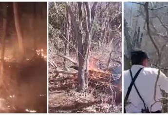 Par de incendios forestales en sierra de Mazatlán afectan 185 hectáreas: Protección Civil 