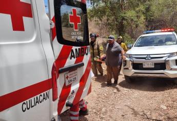 Buscaban hierba para curar la diabetes y los atacan abejas en Culiacán; hay 3 heridos