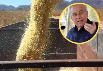 Tema del maíz ya está resuelto en Sinaloa: Rocha Moya 