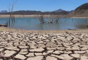 Sequía asfixia a Sinaloa; el 100 % del territorio resulta con afectaciones